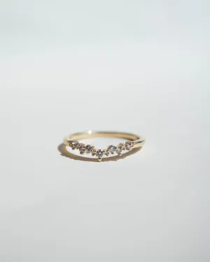 Briar Ring - Salt and Pepper Diamonds