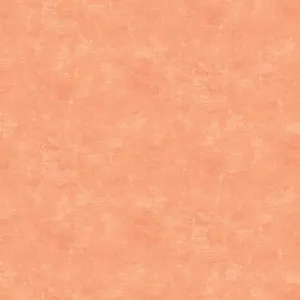 Canvas Melon